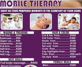 Mobile hair and beauty therapist