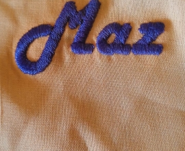 Embroidery Machine Digitizing service